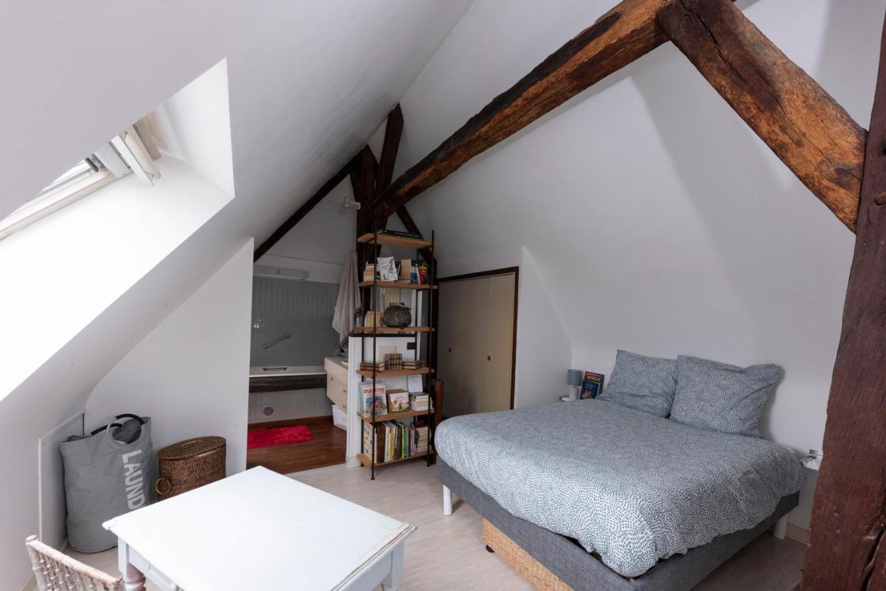 La Lirosane, 3 Studios, 3,7Km Du Zoo, Centre-Ville Saint-Aignan  Exterior foto